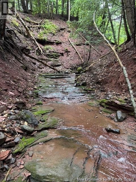 Na Grand Pass Court, Douglas, New Brunswick  O0O 0O0 - Photo 18 - NB132741