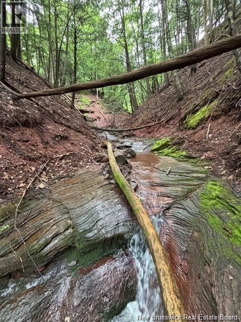 Na Grand Pass Court, Douglas, New Brunswick  O0O 0O0 - Photo 17 - NB132741