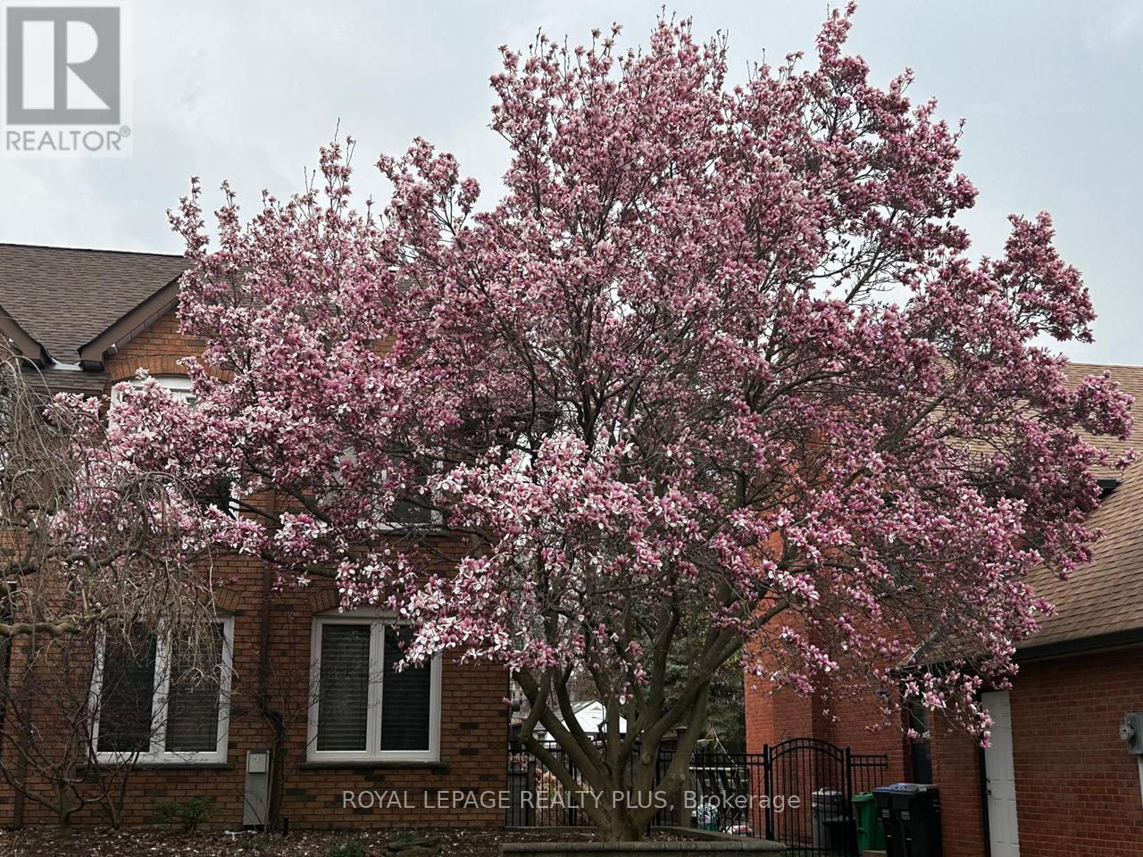 4279 Bridlepath Trail, Mississauga, Ontario  L5L 3K3 - Photo 49 - W12927484