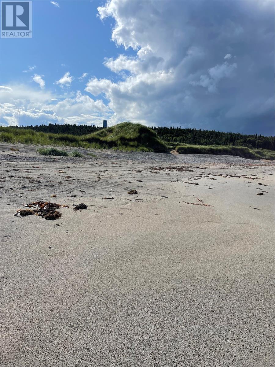 Lorem Ipsum Dolor, Lumsden, Newfoundland & Labrador  A1A  - Photo 6 - DEMO29509702