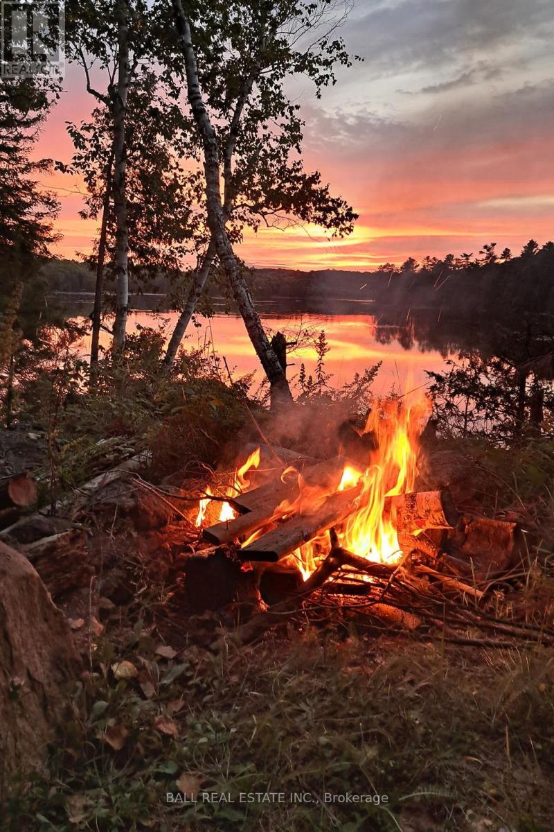 1956 Smith Road, Frontenac, Ontario  K0H 1C0 - Photo 40 - X12927714