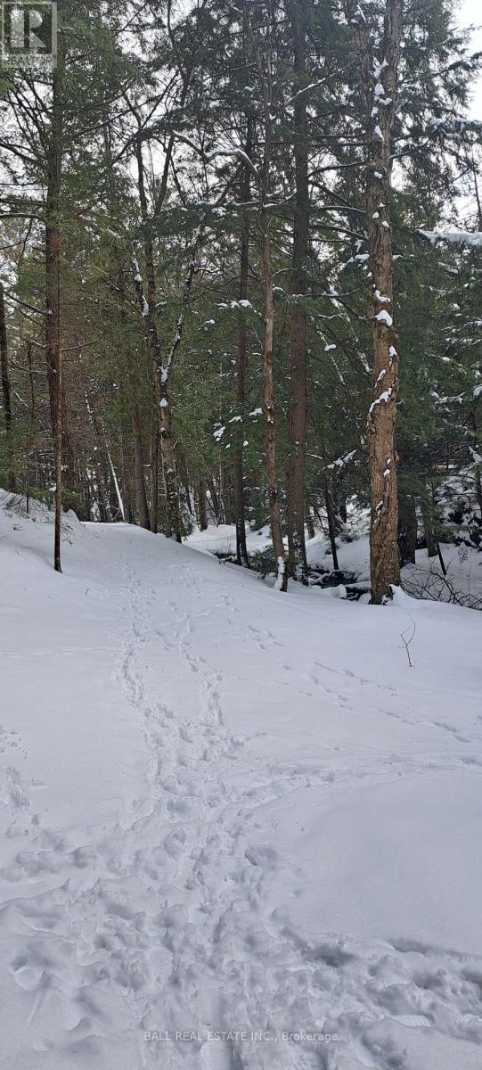 1992 Smith Road, Frontenac, Ontario  K0H 1C0 - Photo 6 - X12927718