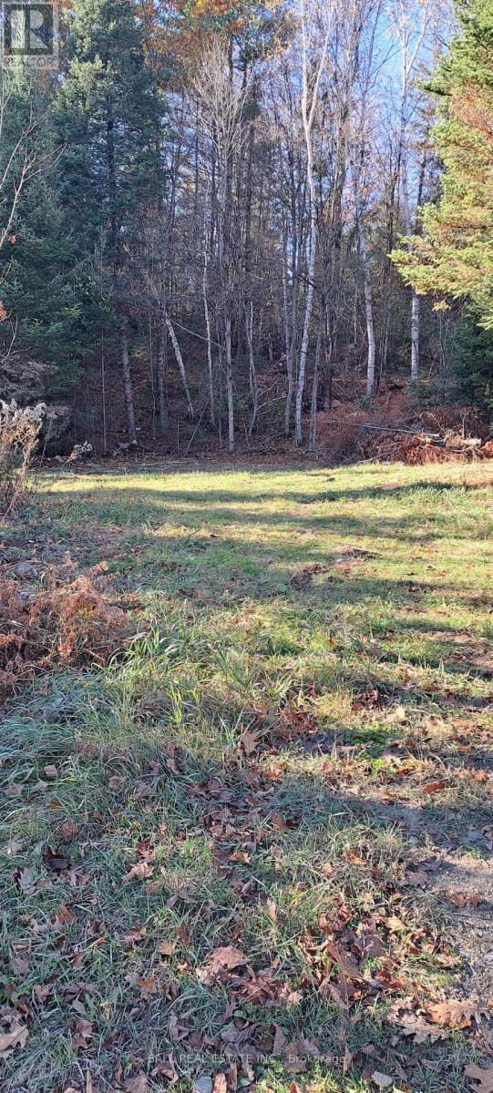 1992 Smith Road, Frontenac, Ontario  K0H 1C0 - Photo 9 - X12927718