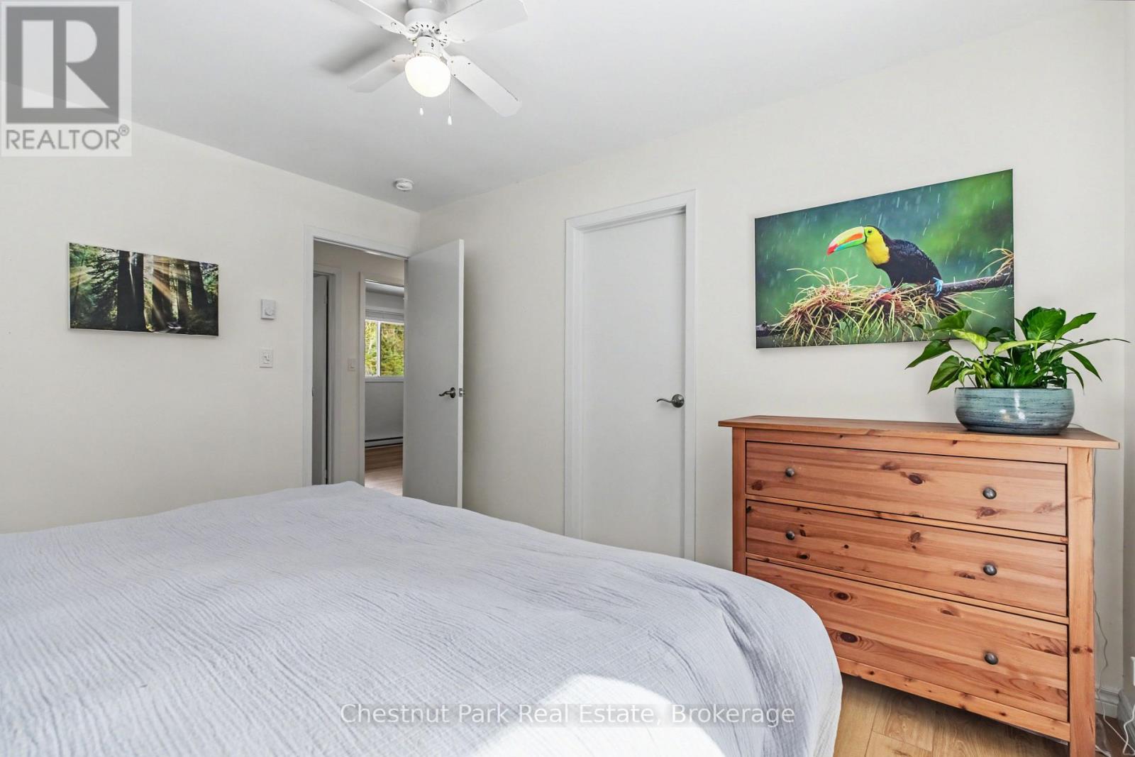 159 Burma Road, Northern Bruce Peninsula, Ontario  N0H 1W0 - Photo 21 - X12927698