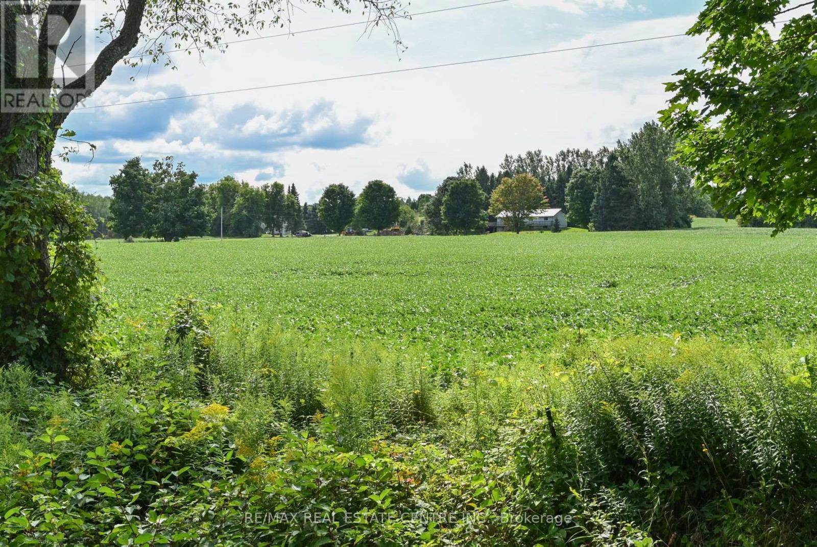 714394 1st Line Ehs, Mono, Ontario  L9W 5T6 - Photo 7 - X12859900