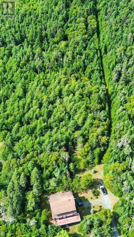 582-594 Indian Meal Line, Torbay, Newfoundland & Labrador  A1K 1G5 - Photo 2 - 1295593