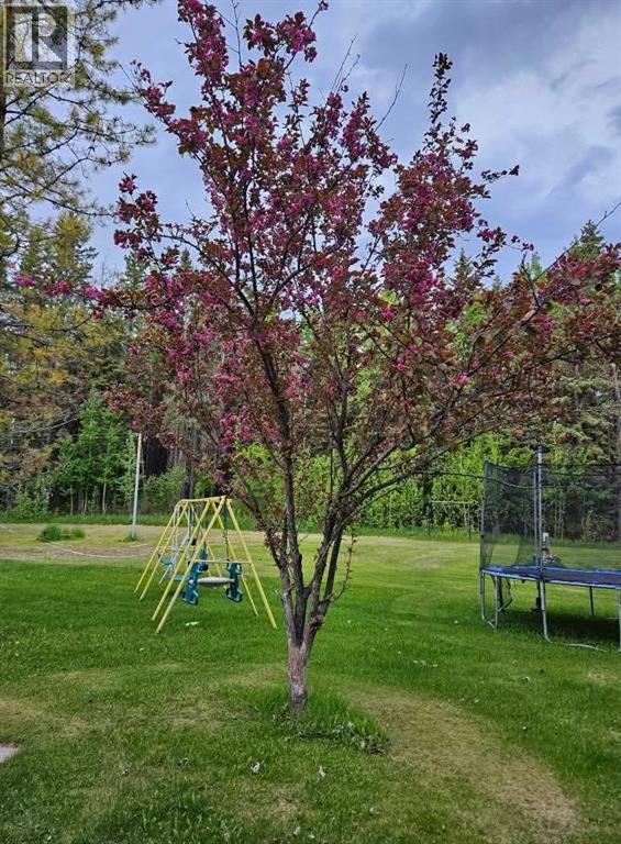 62026a Highway 11, Rural Clearwater County, Alberta  T4T 2A1 - Photo 47 - A2282854