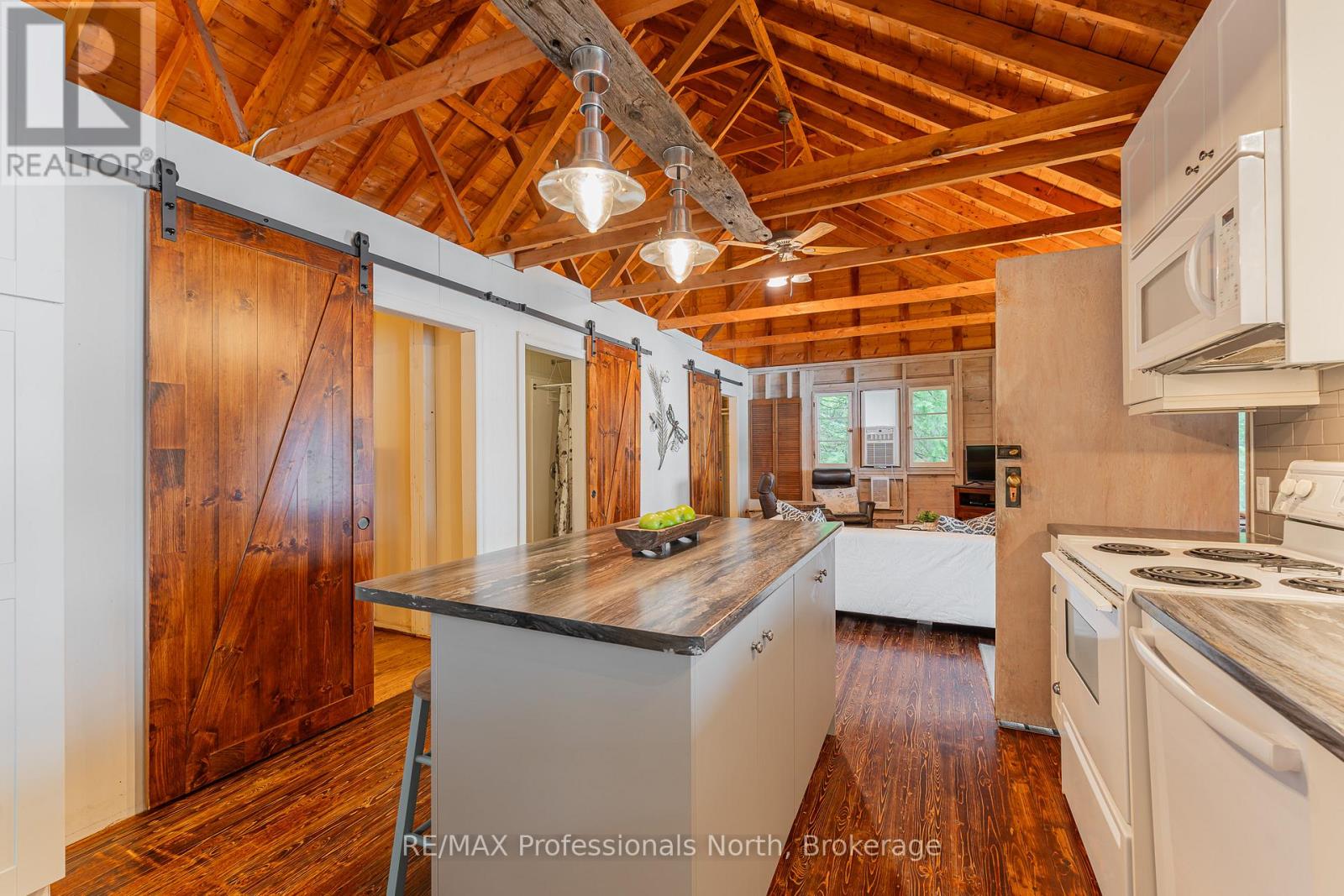 1030 Schaefer's Road, Minden Hills (Lutterworth), Ontario  K0M 2K0 - Photo 13 - X12928078