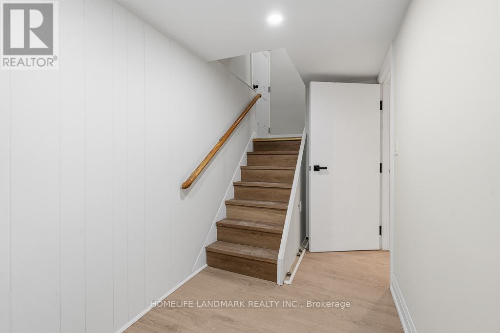 Basement - 135 Waterloo Avenue, Toronto, Ontario  M3H 3Y7 - Photo 2 - C12928134