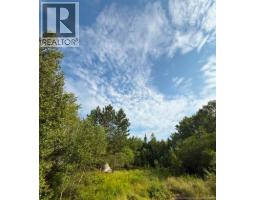 Lot Route 126, birch ridge, New Brunswick
