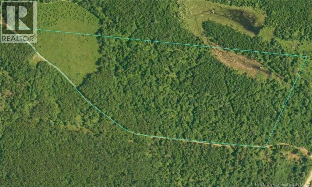 Lot Sorrel Ridge Road, Rollingdam, New Brunswick  E5A 2Y9 - Photo 1 - NB135980