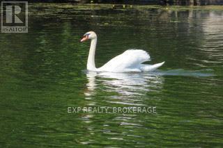 Lorem Ipsum Dolor, Frontenac, Ontario  K0H  - Photo 43 - DEMO29524210