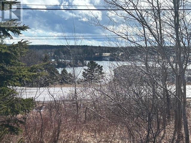 #4 Highway, River Bourgeois, Nova Scotia  B0E 2X0 - Photo 3 - 202605466