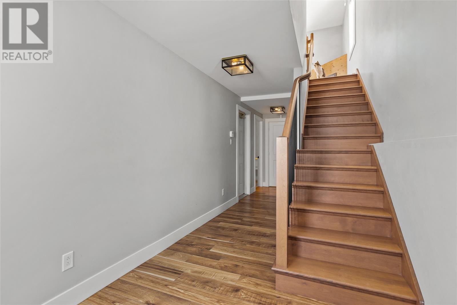 51 Tigress Street, St Johns, Newfoundland & Labrador  A1B 0L6 - Photo 3 - 1295630