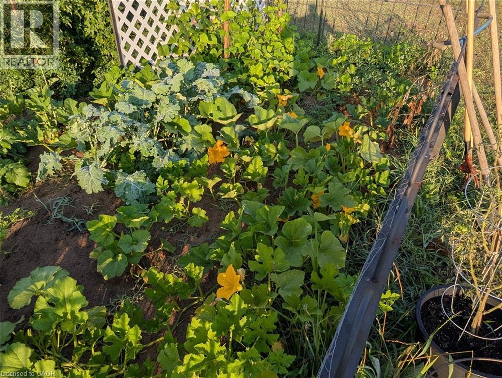 837 Fertilizer Road, Simcoe, Ontario  N3Y 4K6 - Photo 37 - 40806404