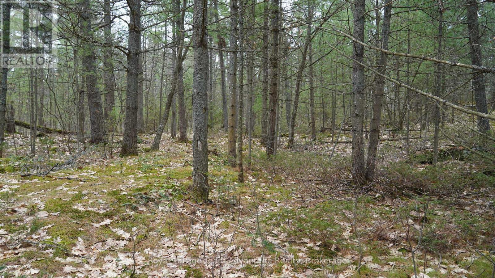 0 Lagoon Drive, The Archipelago (Archipelago North), Ontario  P0G 1K0 - Photo 5 - X12928354