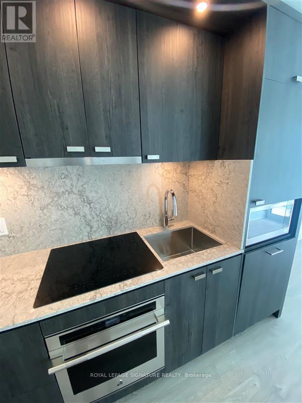 1014 - 470 Front Street W, Toronto, Ontario  M5V 0V6 - Photo 6 - C12928312