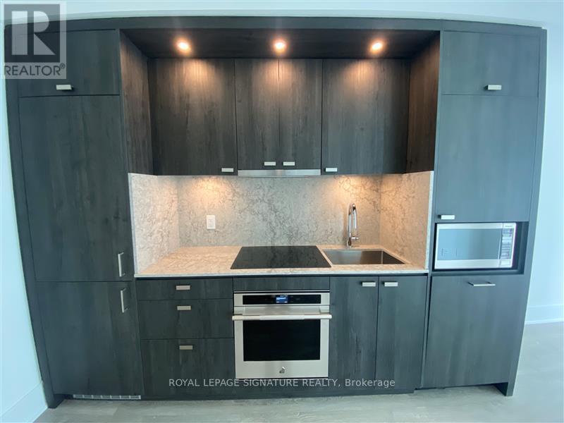 1014 - 470 Front Street W, Toronto, Ontario  M5V 0V6 - Photo 7 - C12928312