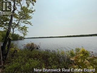 Lot Wegesegum Road, Chipman, New Brunswick  O0O 0O0 - Photo 11 - NB135894