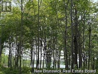 Lot Wegesegum Road, Chipman, New Brunswick  O0O 0O0 - Photo 15 - NB135894