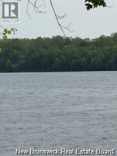 Lot Wegesegum Road, Chipman, New Brunswick  O0O 0O0 - Photo 4 - NB135894
