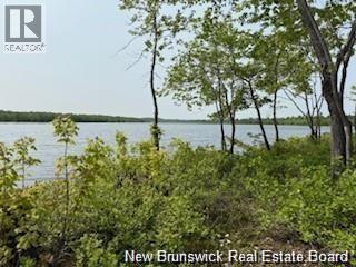 Lot Wegesegum Road, Chipman, New Brunswick  O0O 0O0 - Photo 9 - NB135894