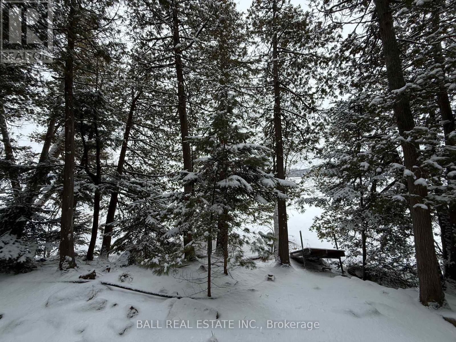 127 Fire Route 42, Trent Lakes, Ontario  K0L 1J0 - Photo 4 - X12902616