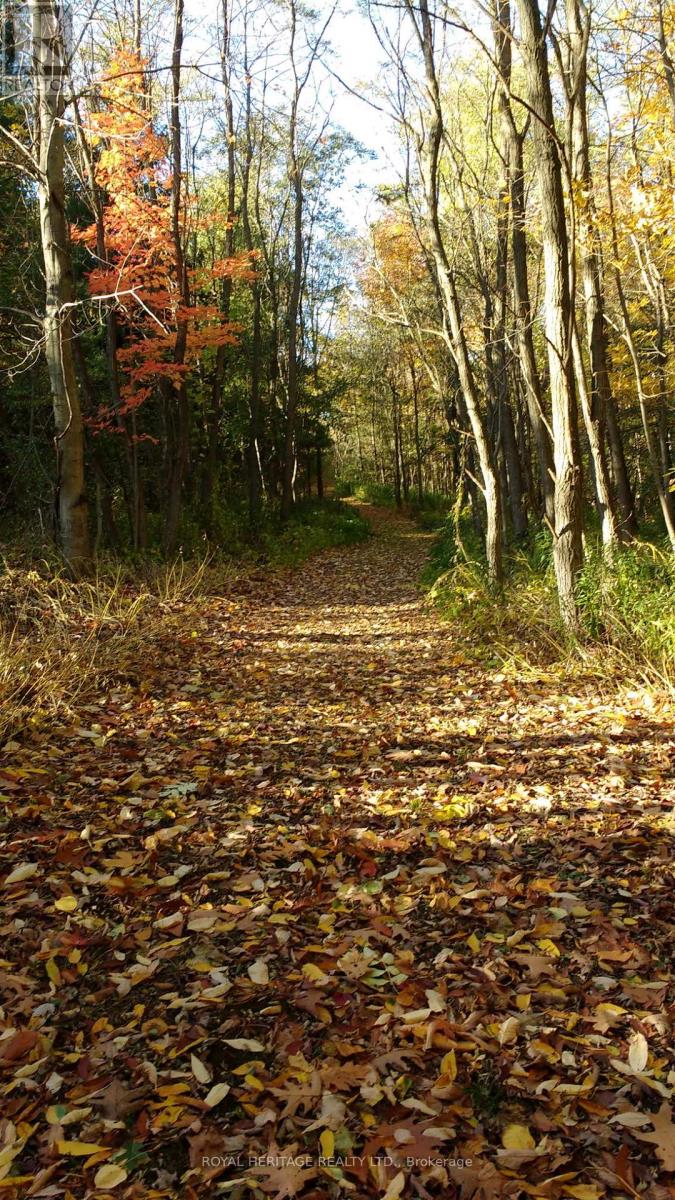 10629 County Rd 2 Road, Alnwick/haldimand, Ontario  K0K 2G0 - Photo 35 - X12660780