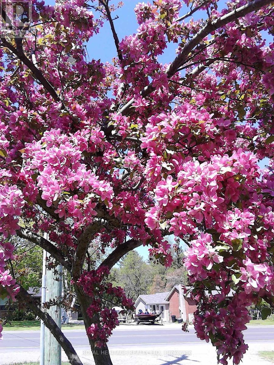 10629 County Rd 2 Road, Alnwick/haldimand, Ontario  K0K 2G0 - Photo 47 - X12660780