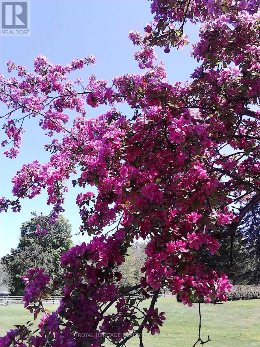 10629 County Rd 2 Road, Alnwick/haldimand, Ontario  K0K 2G0 - Photo 39 - X12660780