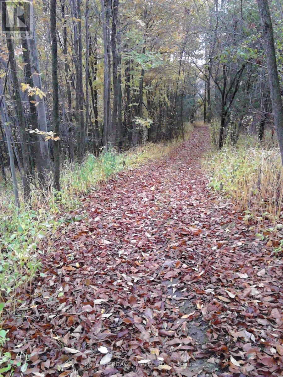 10629 County Rd 2 Road, Alnwick/haldimand, Ontario  K0K 2G0 - Photo 36 - X12660780