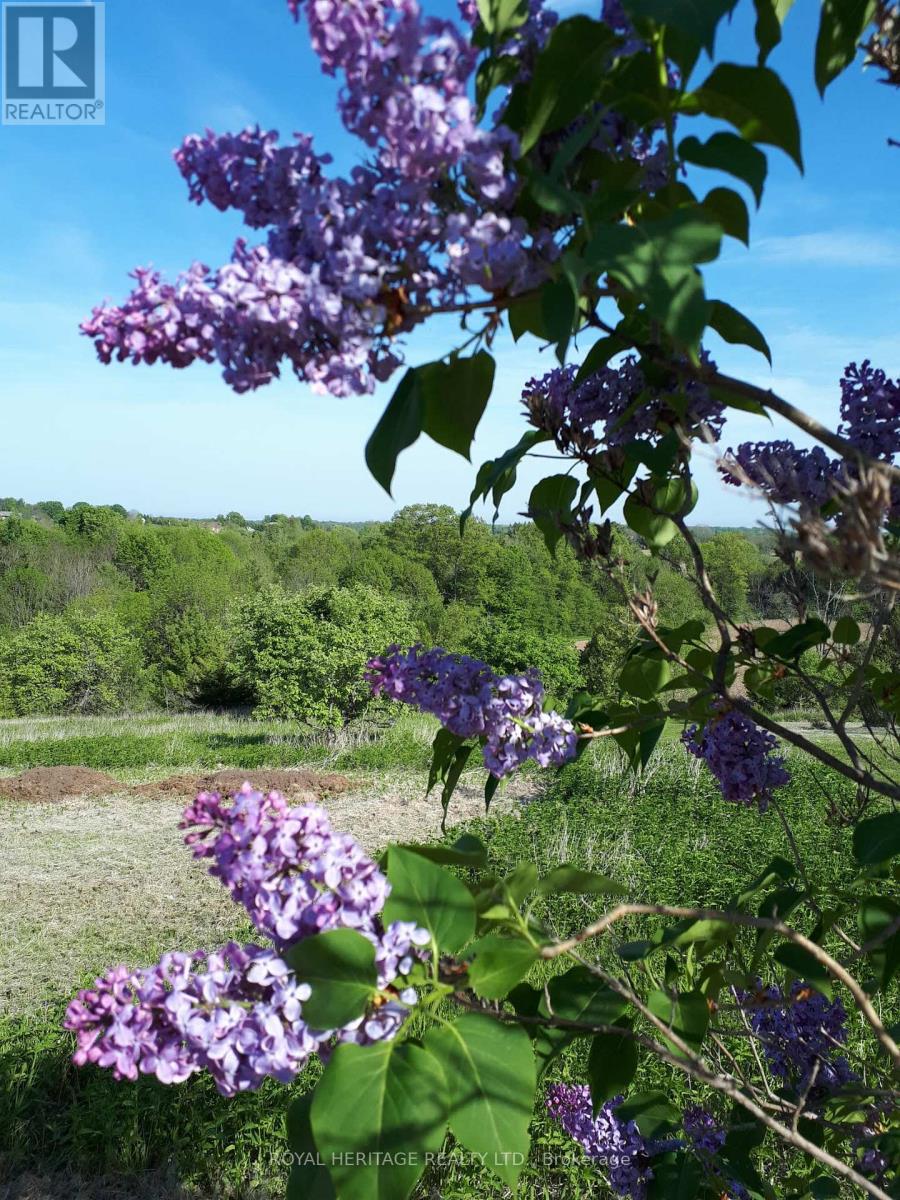 10629 County Rd 2 Road, Alnwick/haldimand, Ontario  K0K 2G0 - Photo 38 - X12660780