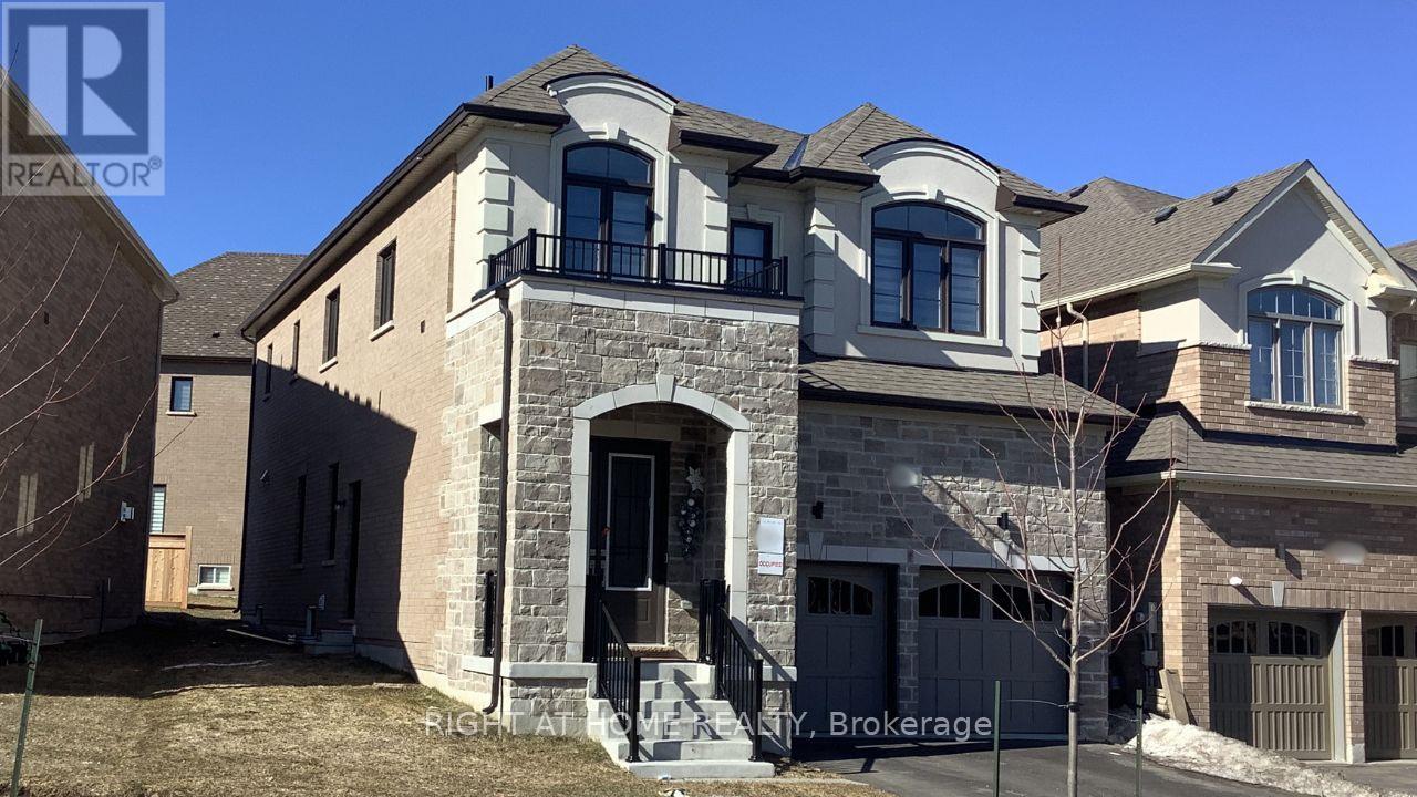 BASEMENT - 14 CONNELL DRIVE, Georgina, Ontario