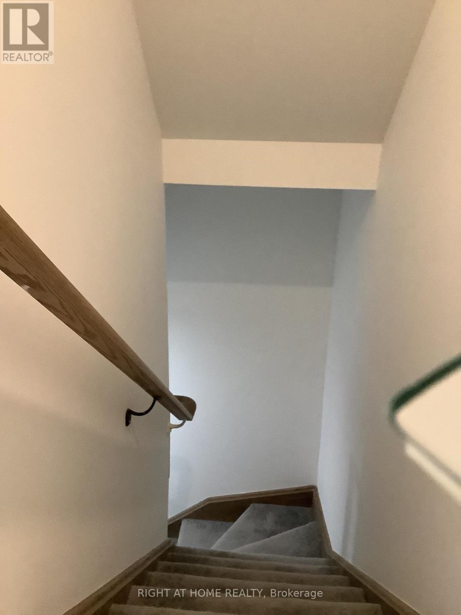 Basement - 14 Connell Drive, Georgina, Ontario  L4P 0J4 - Photo 3 - N12788694