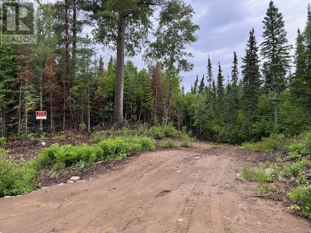 Lot 14 Peterkin Lake Rd., Unorganized, Ontario  P0T 2T0 - Photo 3 - TB252892