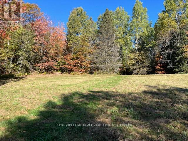 96 520 Highway W, Burk's Falls, Ontario  P0C 1A0 - Photo 27 - X12928874