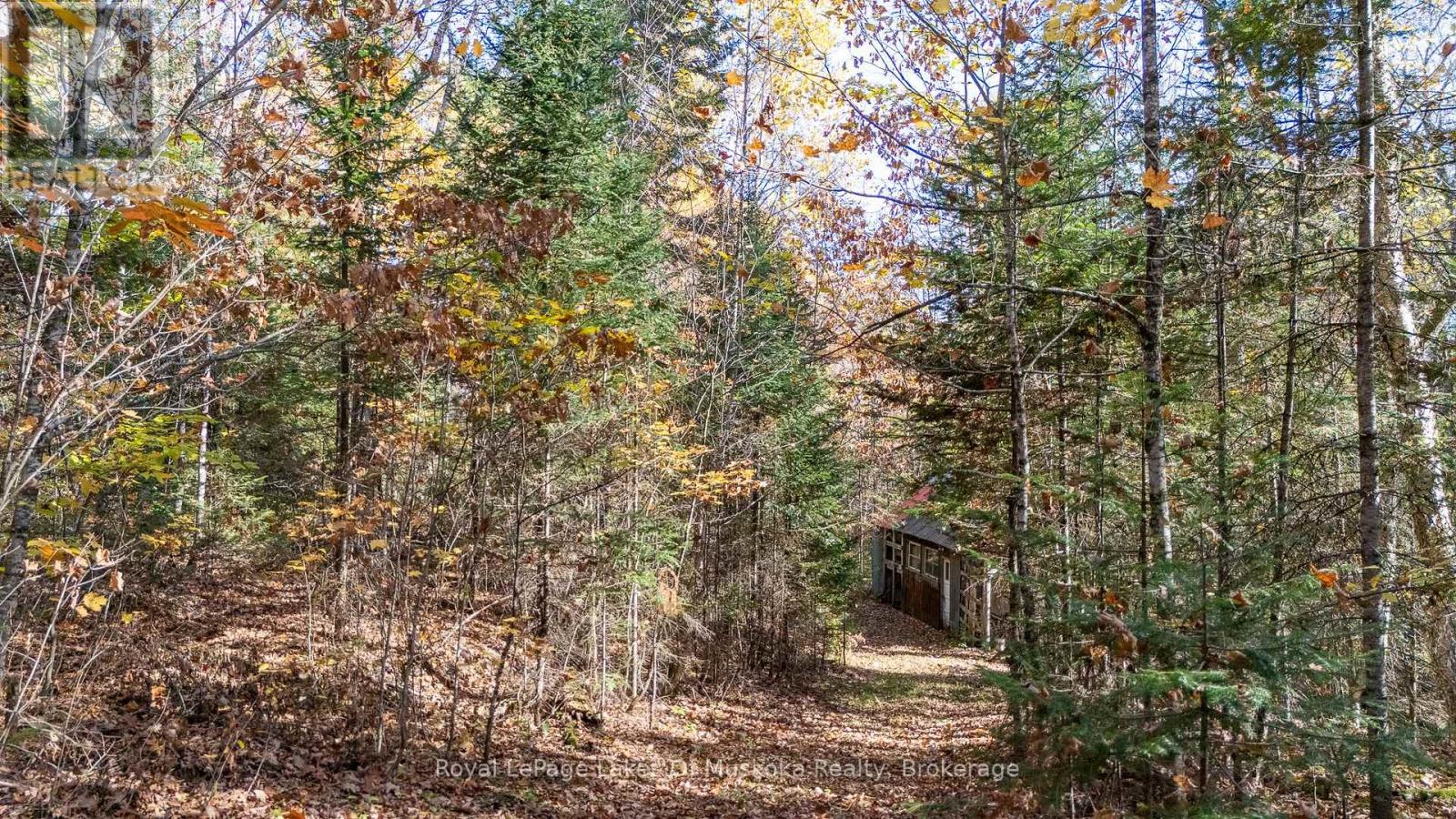 96 520 Highway W, Burk's Falls, Ontario  P0C 1A0 - Photo 28 - X12928874