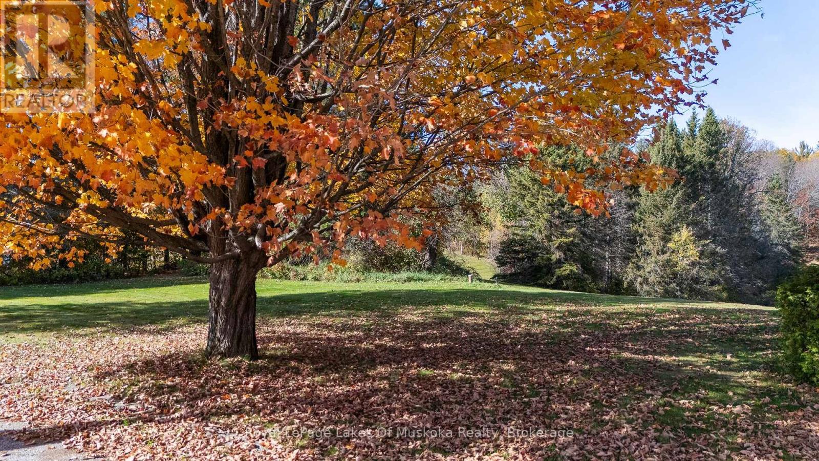 96 520 Highway W, Burk's Falls, Ontario  P0C 1A0 - Photo 4 - X12928874