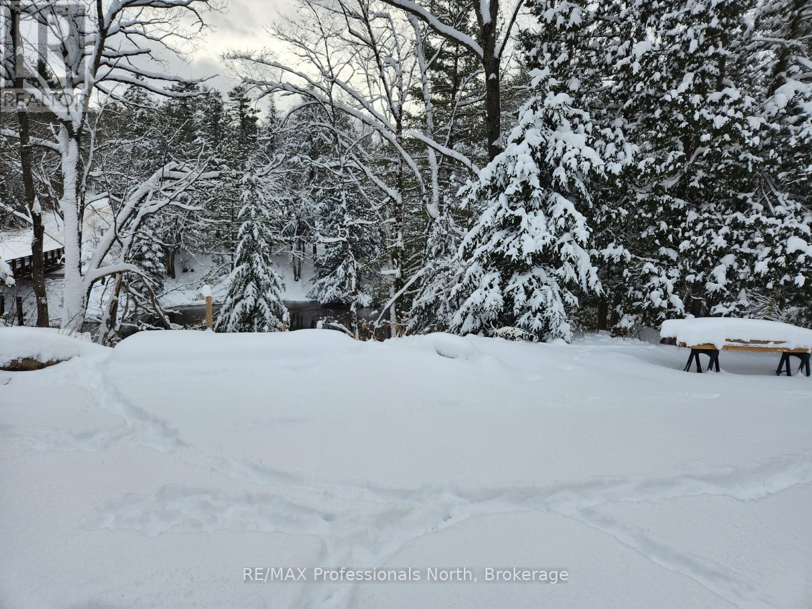 1029 Cranberry Lake Road, Dysart Et Al (Guilford), Ontario  K0M 1S0 - Photo 23 - X12928880