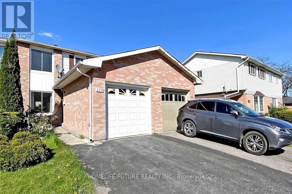 BSMT - 220 MAMMOTH HALL TRAIL, Toronto, Ontario