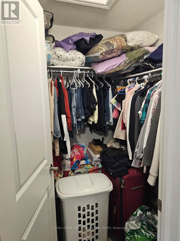 146 Werry Avenue, Southgate, Ontario  N0C 1B0 - Photo 14 - X12683378