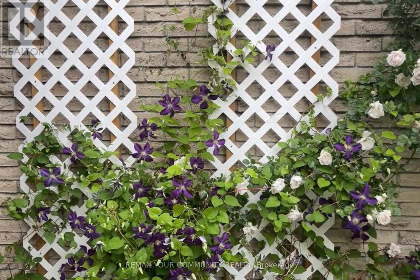 101 Ashton Road, Newmarket, Ontario  L3Y 5R6 - Photo 47 - N12928868