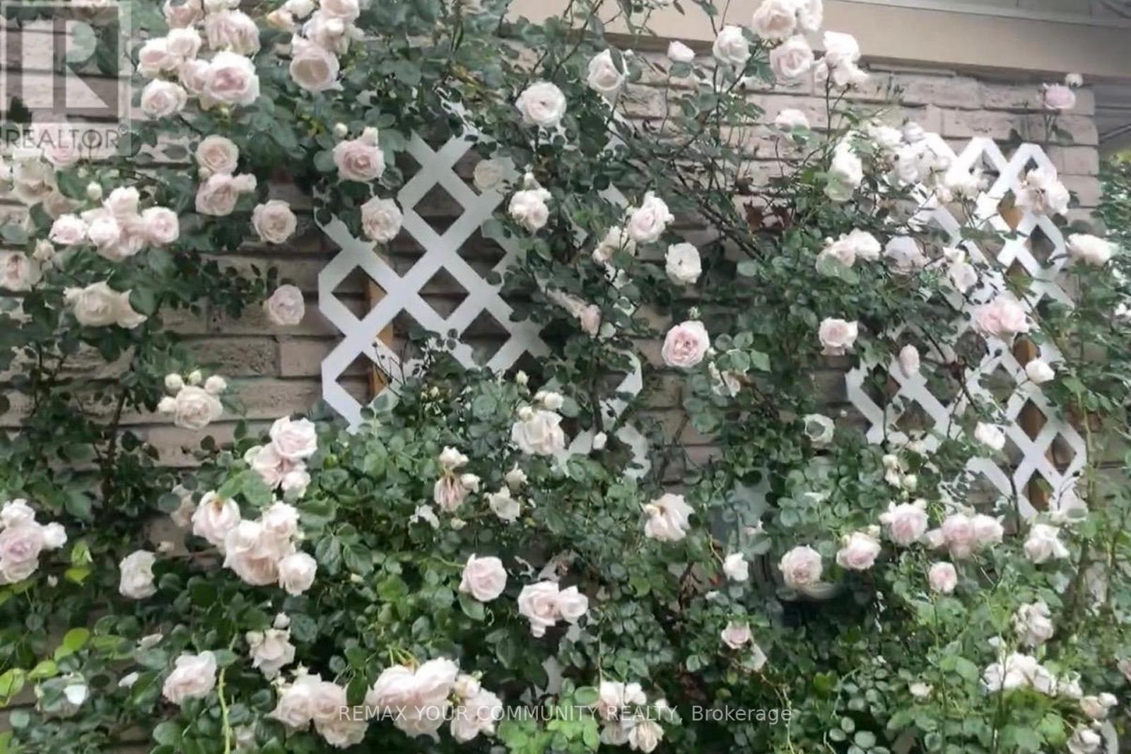 101 Ashton Road, Newmarket, Ontario  L3Y 5R6 - Photo 48 - N12928868