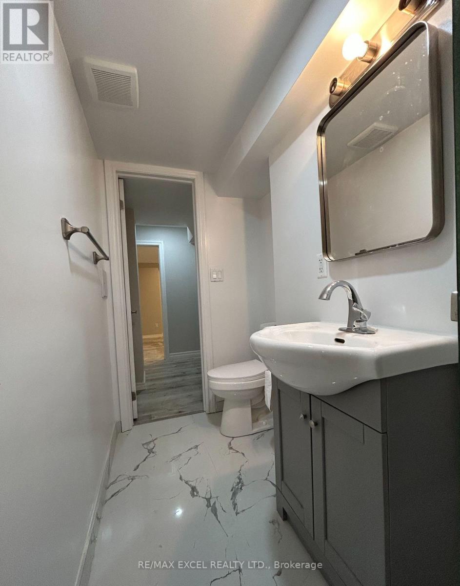 Bsmt - 74 Balsdon Hollow W, East Gwillimbury, Ontario  L9N 0Y1 - Photo 11 - N12885350