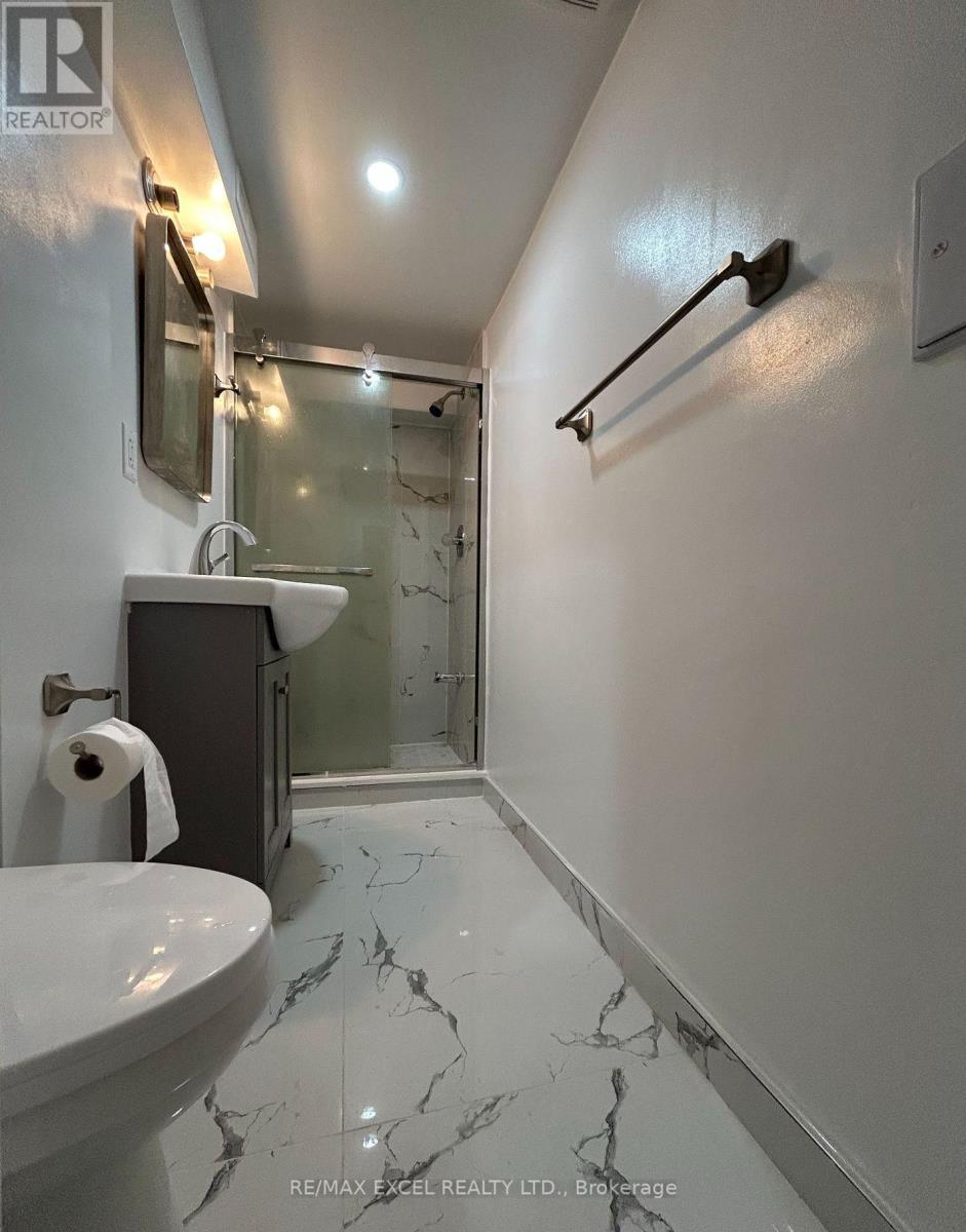 Bsmt - 74 Balsdon Hollow W, East Gwillimbury, Ontario  L9N 0Y1 - Photo 10 - N12885350