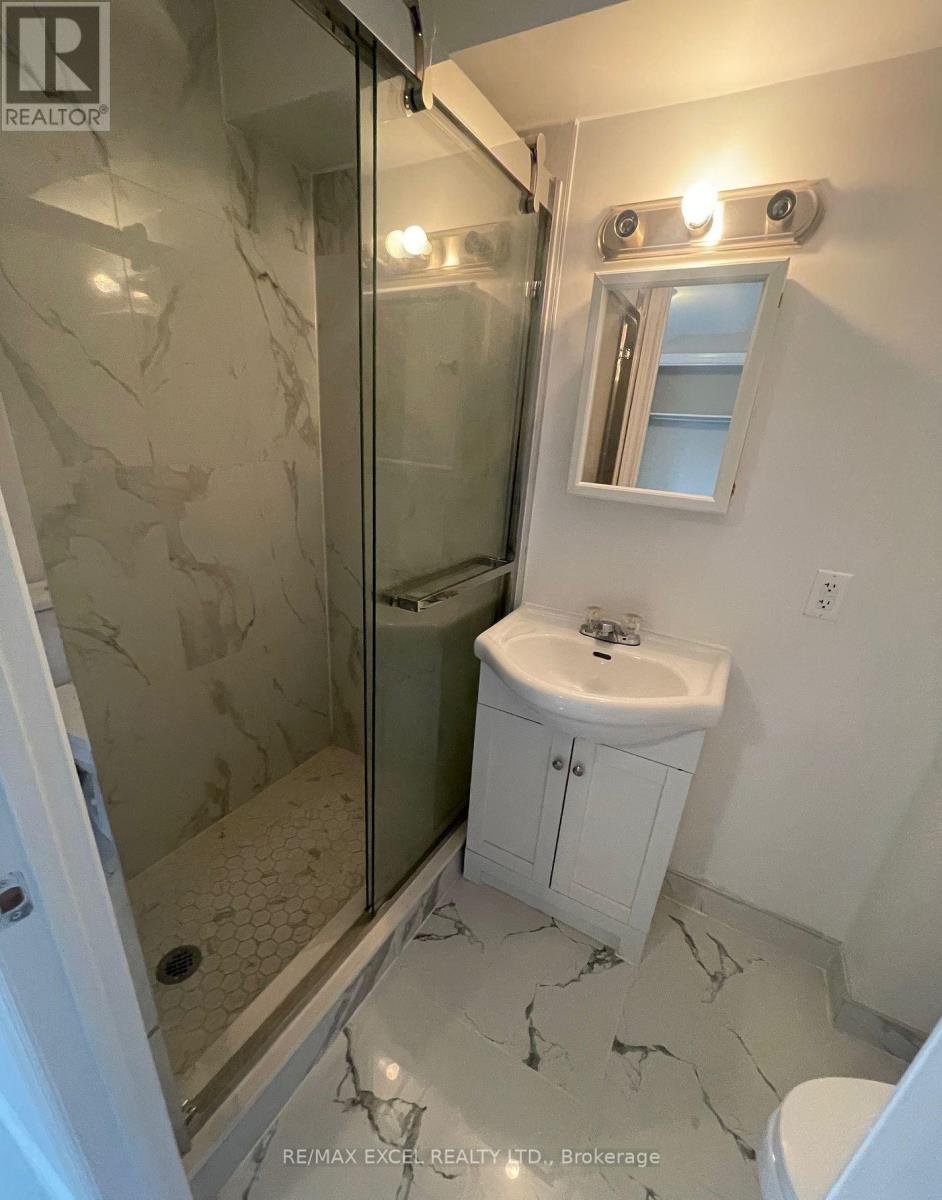 Bsmt - 74 Balsdon Hollow W, East Gwillimbury, Ontario  L9N 0Y1 - Photo 15 - N12885350