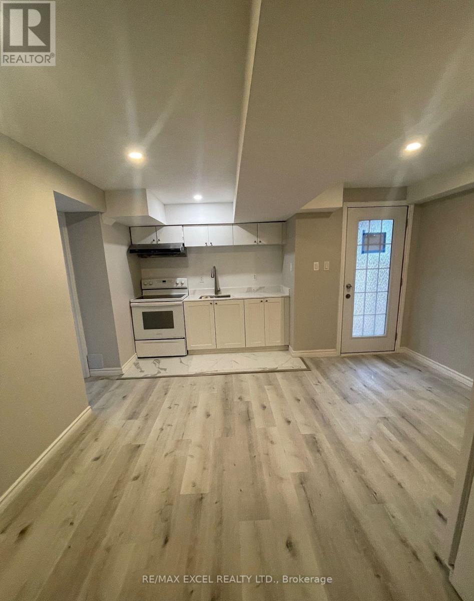 Bsmt - 74 Balsdon Hollow W, East Gwillimbury, Ontario  L9N 0Y1 - Photo 3 - N12885350