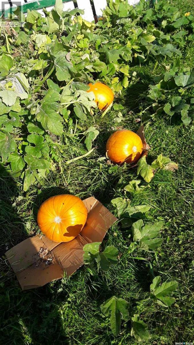 Nw1 34-24-W2, Usborne Rm No. 310, Saskatchewan  S0K 1W0 - Photo 24 - SK031308