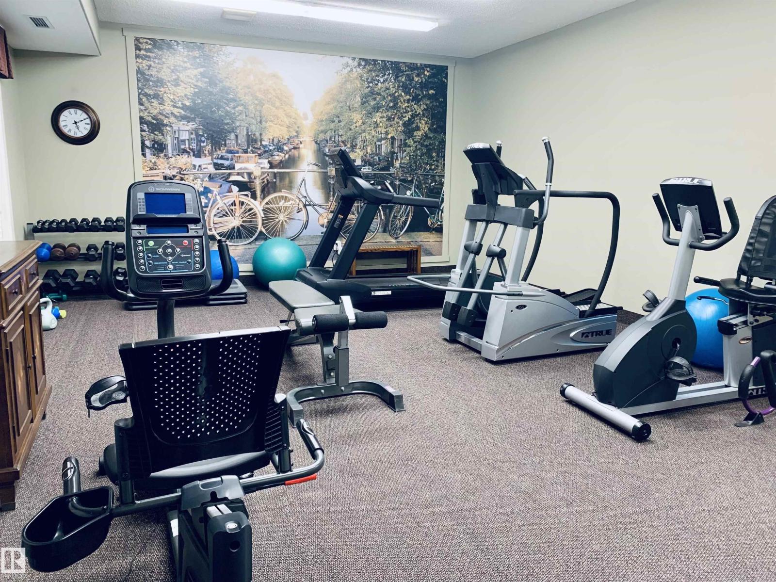 #116 511 Queen St, Spruce Grove, Alberta  T7X 0G4 - Photo 6 - E4476275