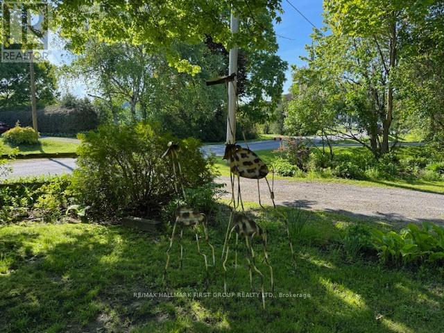 130 Lyle Street S, Alnwick/haldimand, Ontario  K0K 2G0 - Photo 4 - X12928932